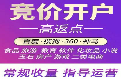 竞价推广策略：某电商平台的成功之路